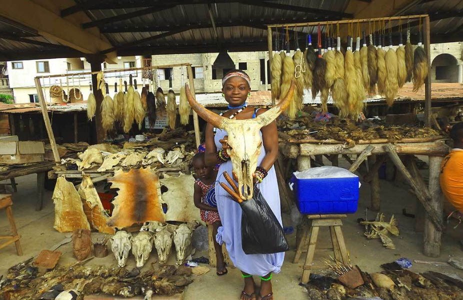 Akodésséwa Fetish Market, Lomé, Togo